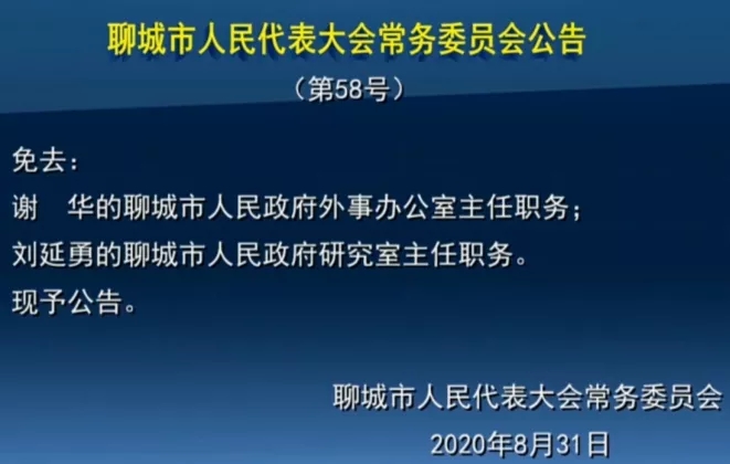 济宁市最新人事任免动态