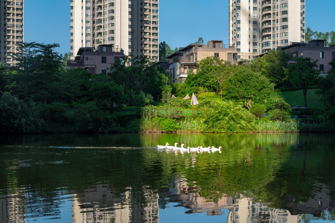 华发观山水最新房价动态，洞悉市场趋势，洞悉未来价值