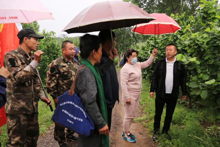 辽阳最新楼盘，繁荣都市的新生活篇章