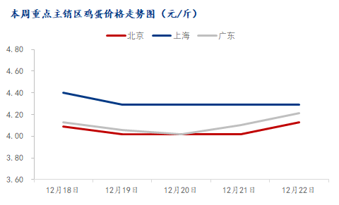 山东今日鸡蛋最新价格动态分析