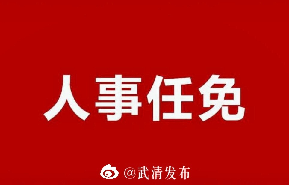 武清区最新人事任免动态