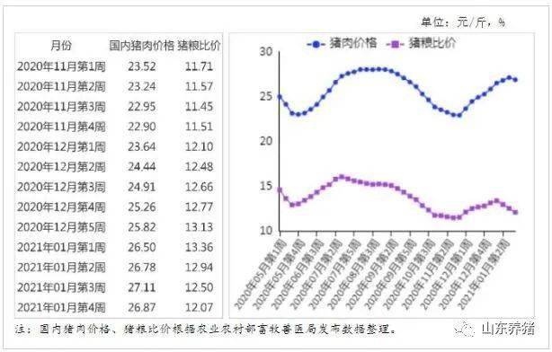 猪肉最新报价及其市场趋势分析