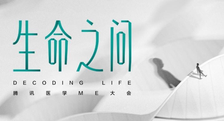 终极解码最新版，探索科技前沿的奥秘与应用