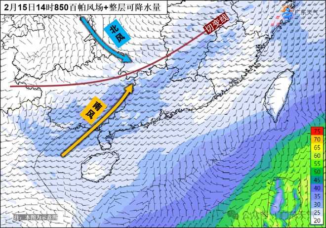 广东海洋天气预报最新报告